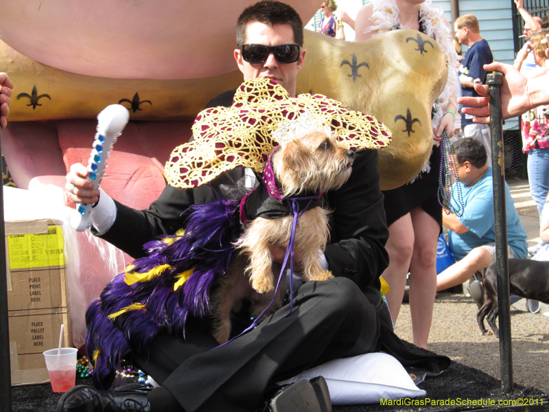 Mystic-Krewe-of-Barkus-HC-2011-0074