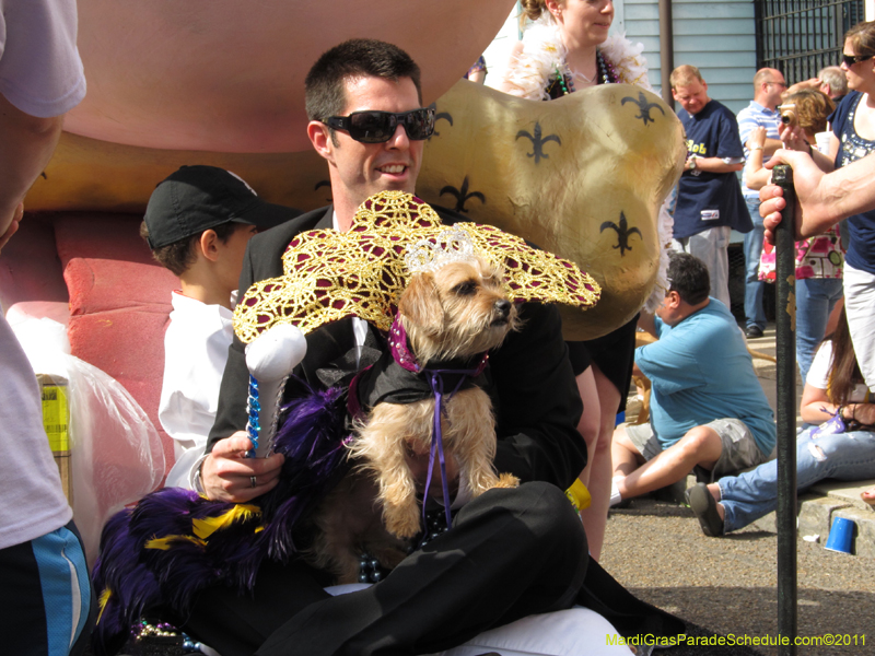 Mystic-Krewe-of-Barkus-HC-2011-0075
