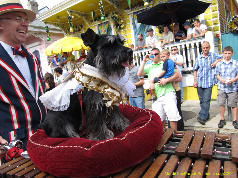 Mystic-Krewe-of-Barkus-HC-2011-0093