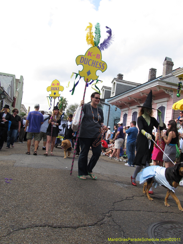 Mystic-Krewe-of-Barkus-HC-2011-0100