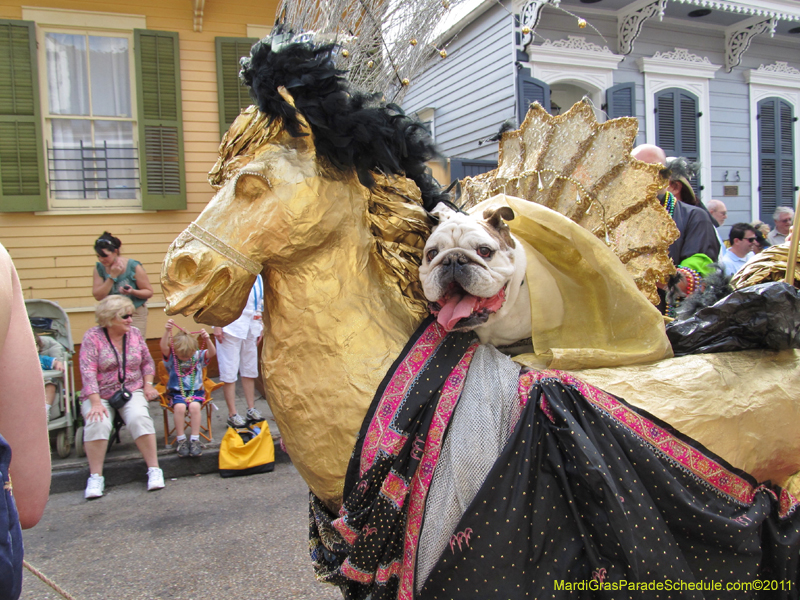 Mystic-Krewe-of-Barkus-HC-2011-0106