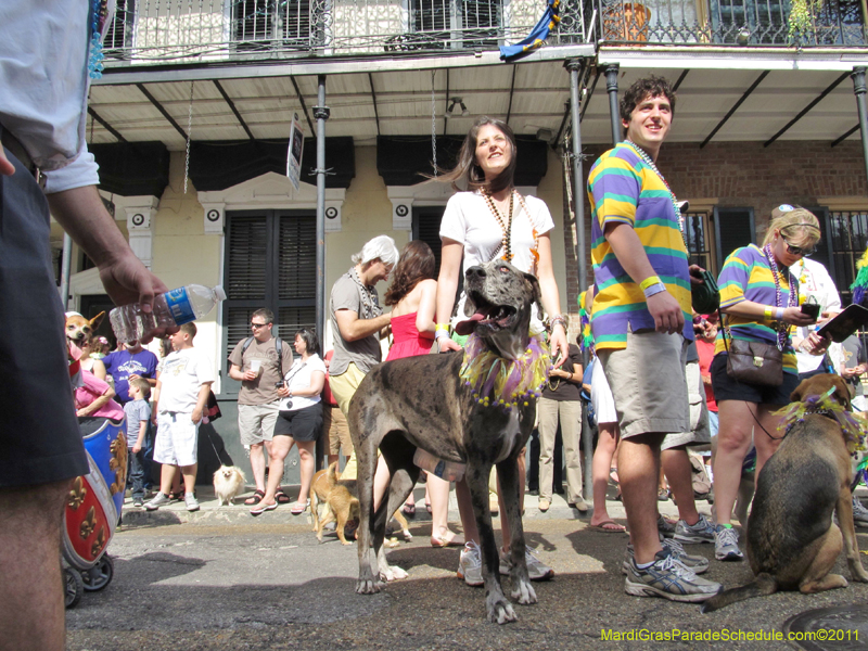 Mystic-Krewe-of-Barkus-HC-2011-0133