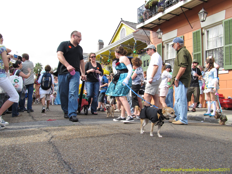 Mystic-Krewe-of-Barkus-HC-2011-0243