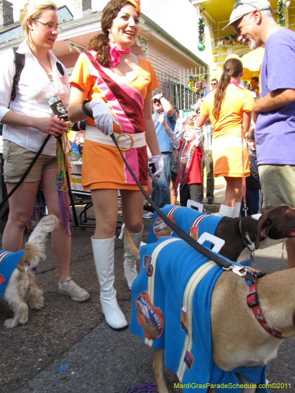 Mystic-Krewe-of-Barkus-HC-2011-0251