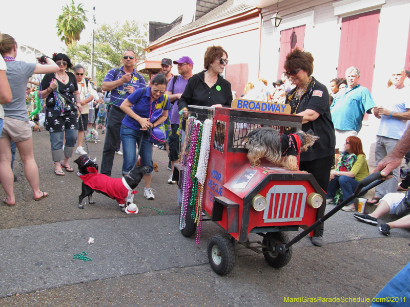 Mystic-Krewe-of-Barkus-HC-2011-0269