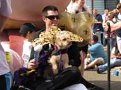 Mystic-Krewe-of-Barkus-HC-2011-0075