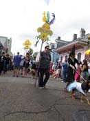 Mystic-Krewe-of-Barkus-HC-2011-0100