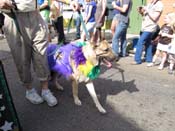 Mystic-Krewe-of-Barkus-HC-2011-0104