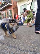 Mystic-Krewe-of-Barkus-HC-2011-0109