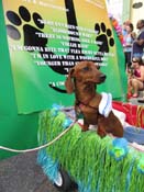 Mystic-Krewe-of-Barkus-HC-2011-0111