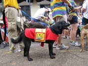 Mystic-Krewe-of-Barkus-HC-2011-0131