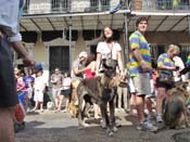 Mystic-Krewe-of-Barkus-HC-2011-0133