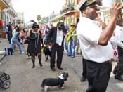 Mystic-Krewe-of-Barkus-HC-2011-0138