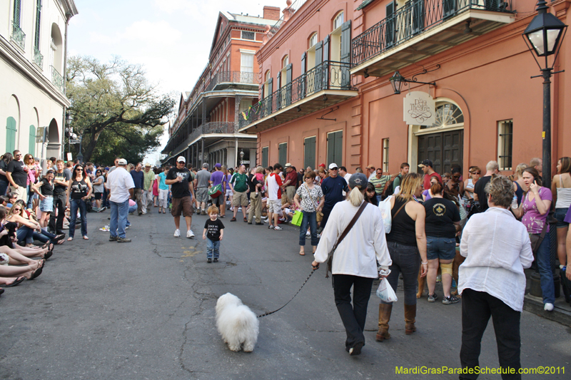 Mystic-Krewe-of-Barkus-JR-2011-0001