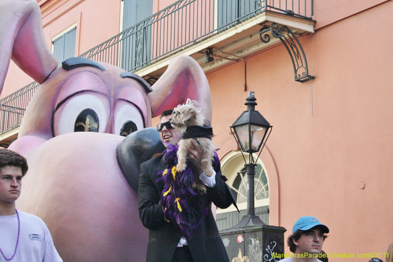 Mystic-Krewe-of-Barkus-JR-2011-0028