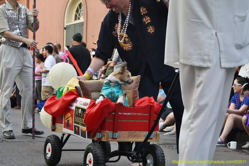 Mystic-Krewe-of-Barkus-JR-2011-0050
