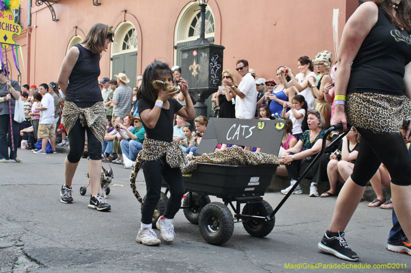 Mystic-Krewe-of-Barkus-JR-2011-0052