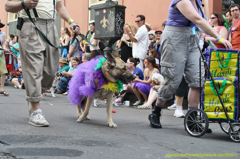 Mystic-Krewe-of-Barkus-JR-2011-0058