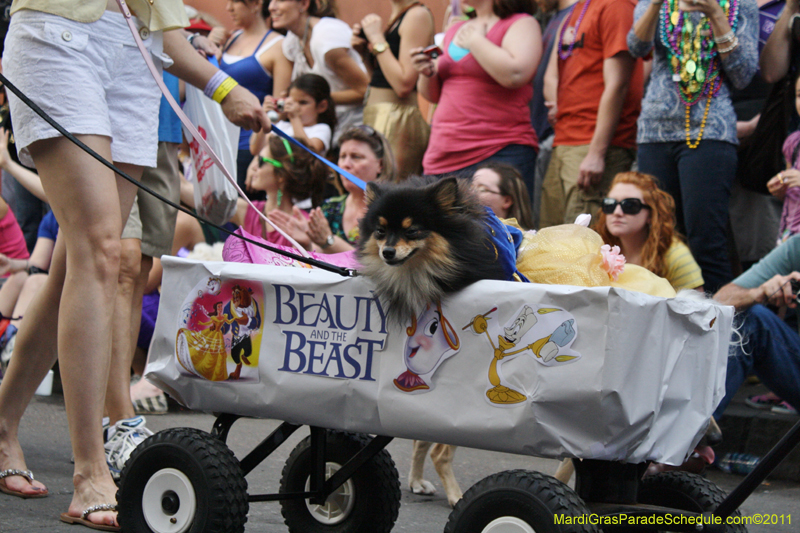 Mystic-Krewe-of-Barkus-JR-2011-0060