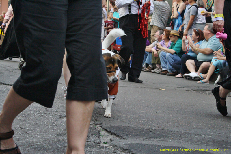 Mystic-Krewe-of-Barkus-JR-2011-0061