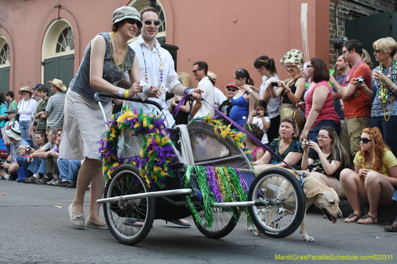 Mystic-Krewe-of-Barkus-JR-2011-0065
