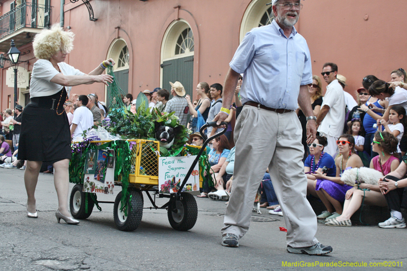 Mystic-Krewe-of-Barkus-JR-2011-0066
