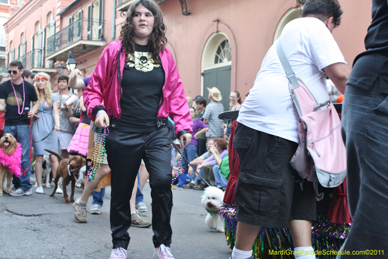 Mystic-Krewe-of-Barkus-JR-2011-0072