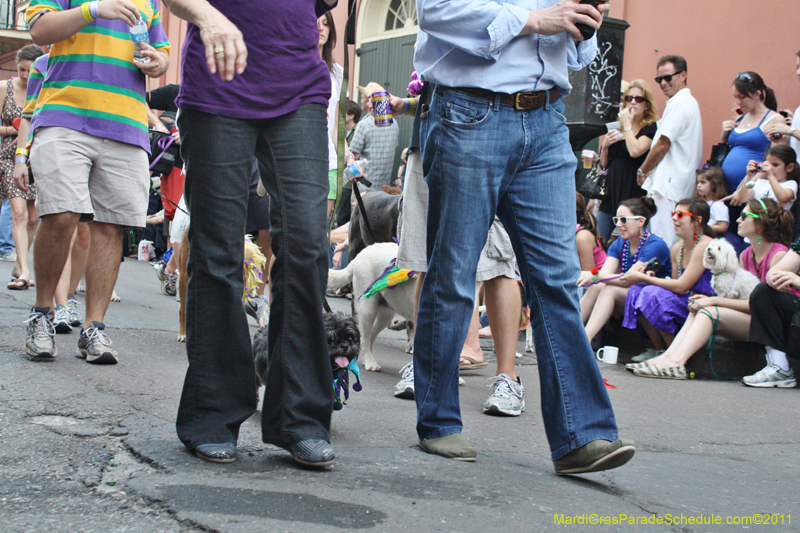 Mystic-Krewe-of-Barkus-JR-2011-0074