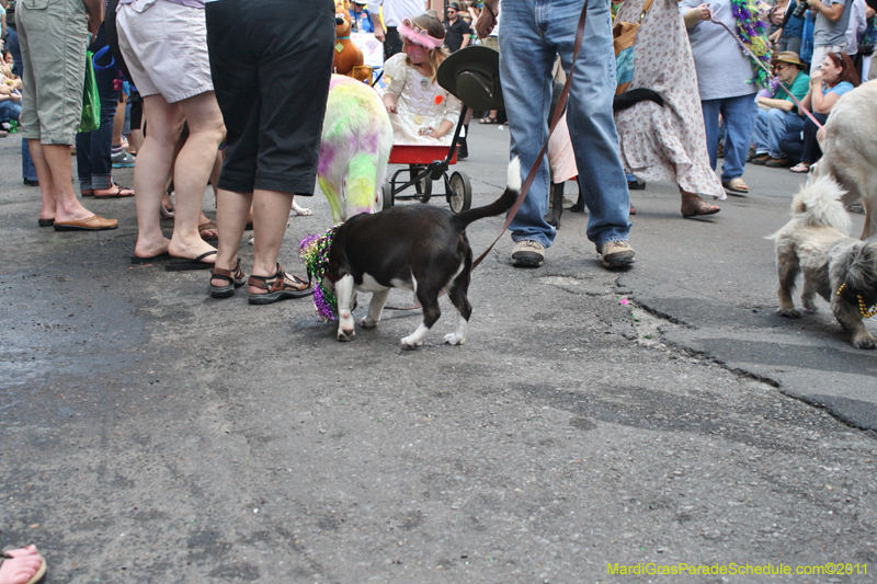 Mystic-Krewe-of-Barkus-JR-2011-0078