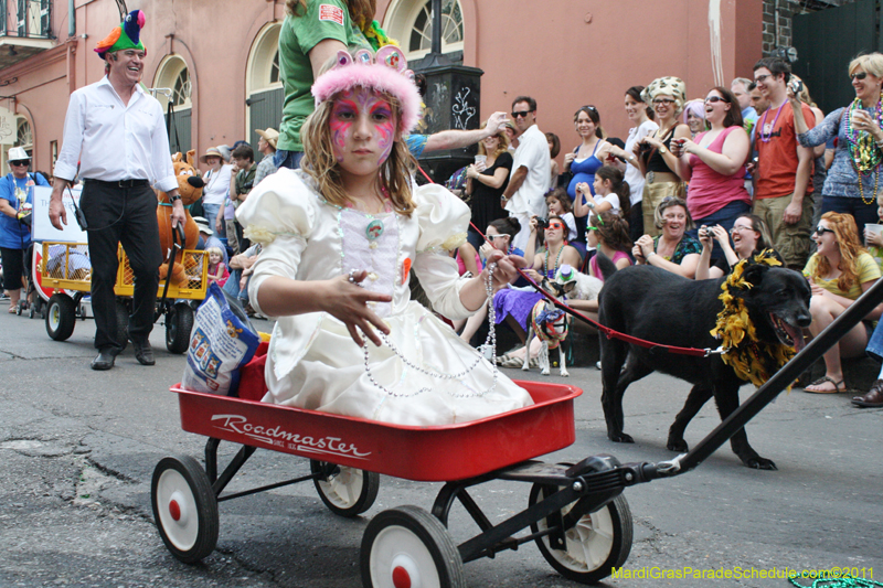 Mystic-Krewe-of-Barkus-JR-2011-0080