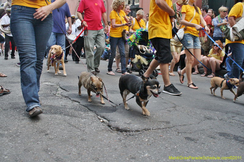 Mystic-Krewe-of-Barkus-JR-2011-0084