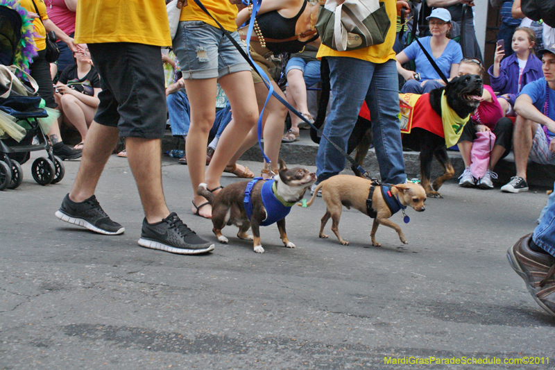 Mystic-Krewe-of-Barkus-JR-2011-0085
