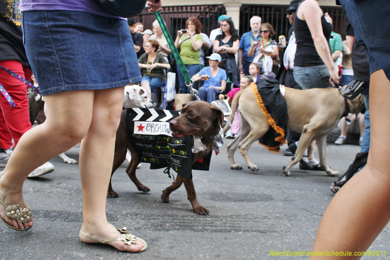 Mystic-Krewe-of-Barkus-JR-2011-0092