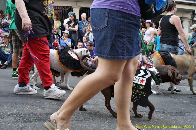 Mystic-Krewe-of-Barkus-JR-2011-0093