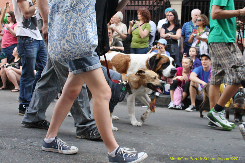 Mystic-Krewe-of-Barkus-JR-2011-0094