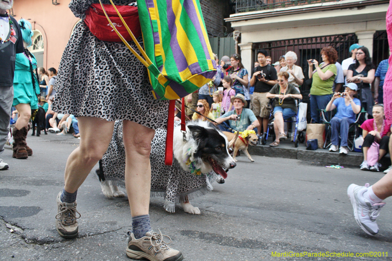 Mystic-Krewe-of-Barkus-JR-2011-0096