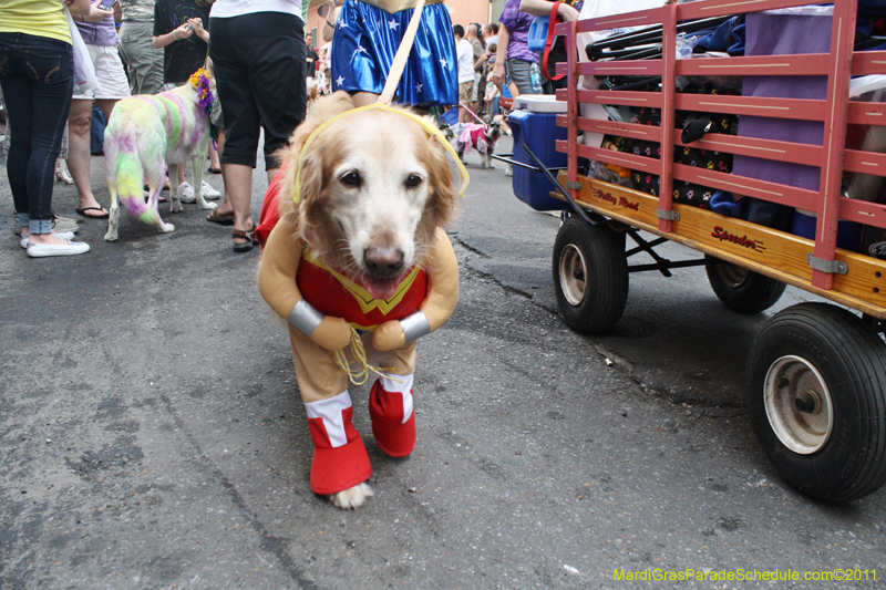 Mystic-Krewe-of-Barkus-JR-2011-0097