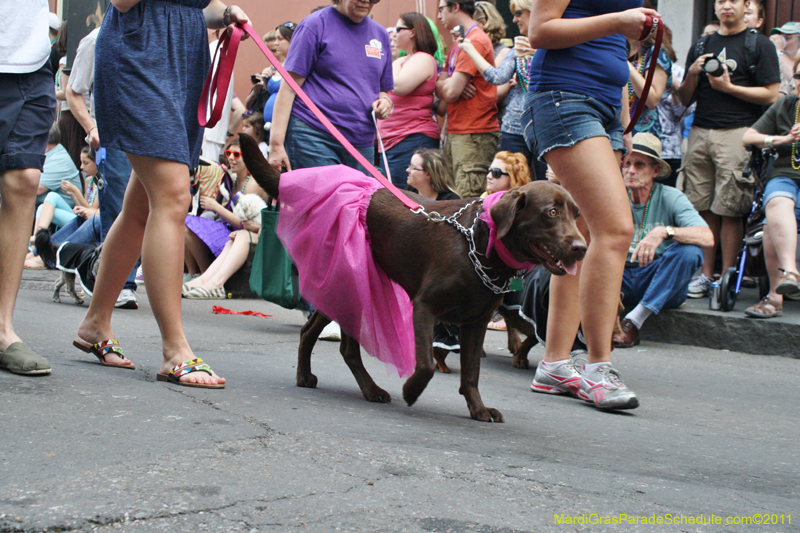 Mystic-Krewe-of-Barkus-JR-2011-0100