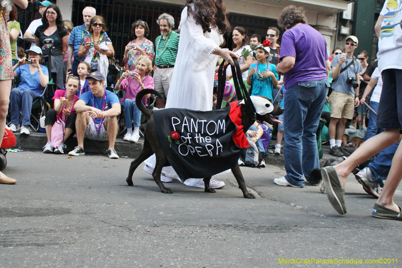 Mystic-Krewe-of-Barkus-JR-2011-0106