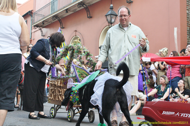 Mystic-Krewe-of-Barkus-JR-2011-0109