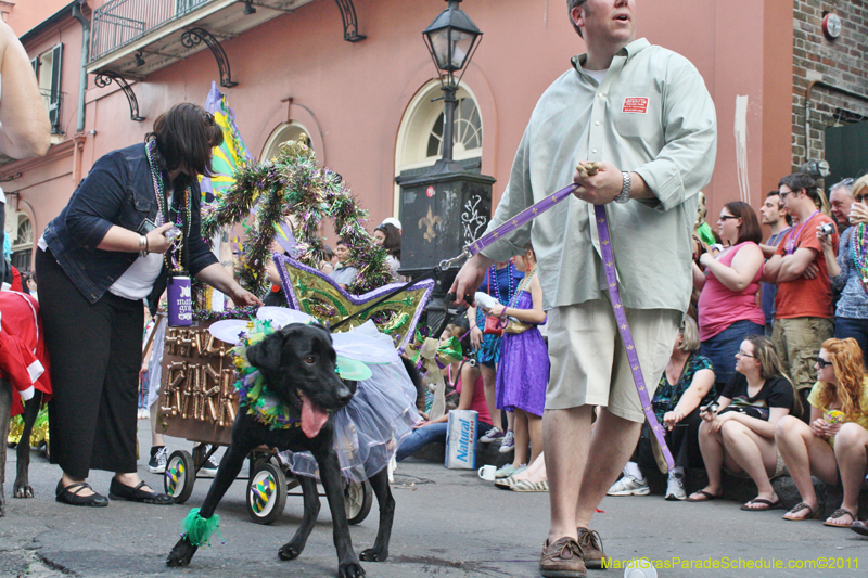 Mystic-Krewe-of-Barkus-JR-2011-0110