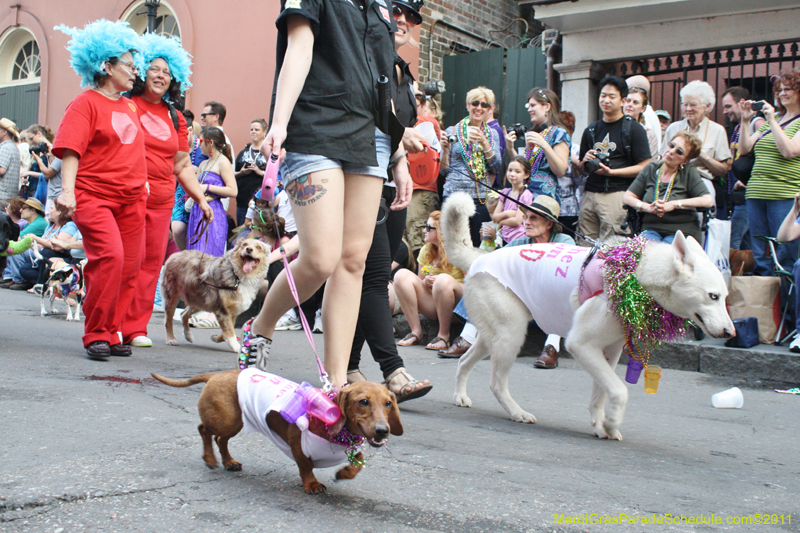 Mystic-Krewe-of-Barkus-JR-2011-0115