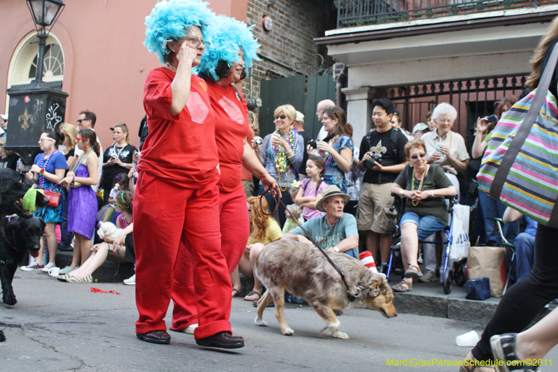 Mystic-Krewe-of-Barkus-JR-2011-0116