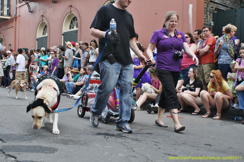 Mystic-Krewe-of-Barkus-JR-2011-0124