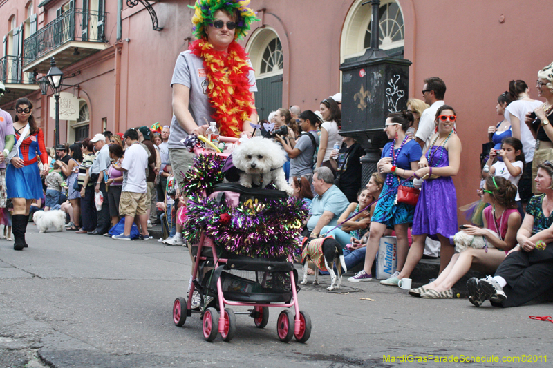 Mystic-Krewe-of-Barkus-JR-2011-0126