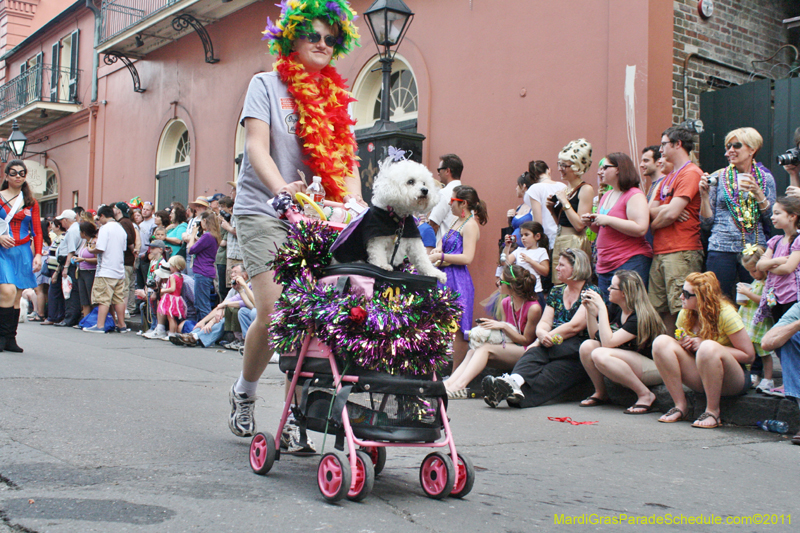 Mystic-Krewe-of-Barkus-JR-2011-0127