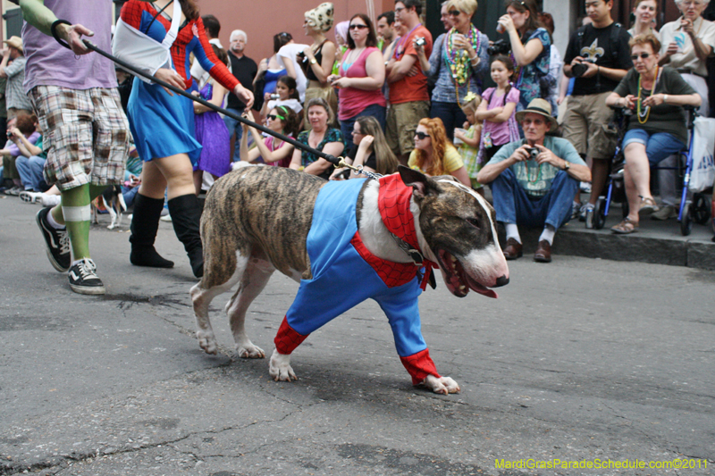 Mystic-Krewe-of-Barkus-JR-2011-0128