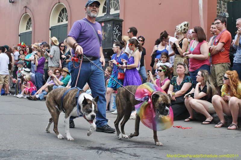 Mystic-Krewe-of-Barkus-JR-2011-0129