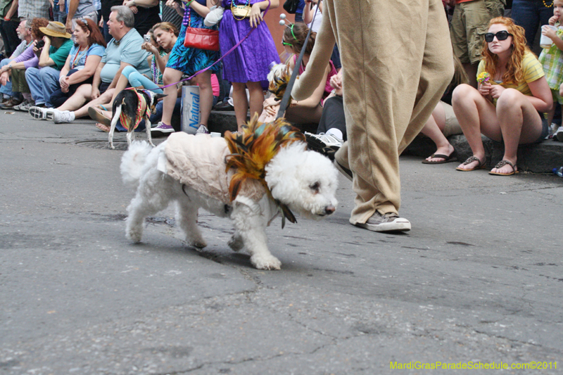 Mystic-Krewe-of-Barkus-JR-2011-0136