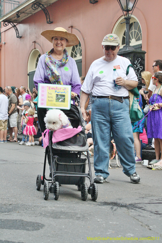 Mystic-Krewe-of-Barkus-JR-2011-0137